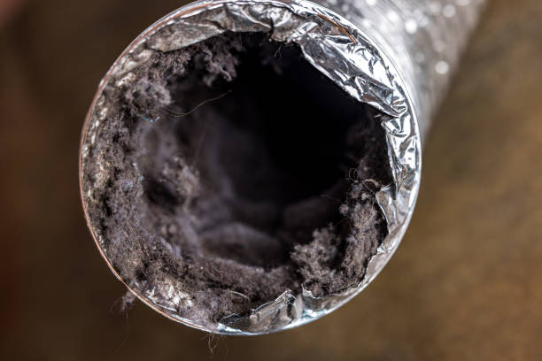 Affordable HVAC Duct Cleaning in CO